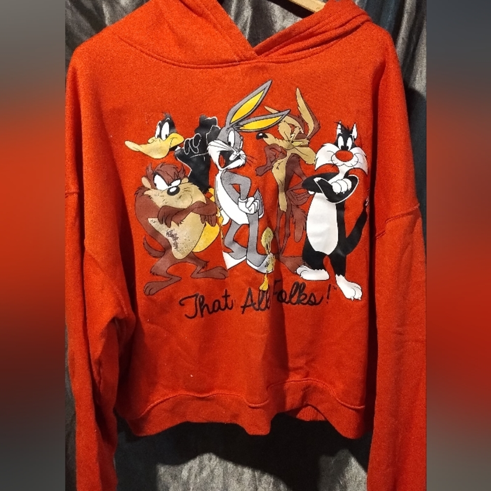 Vintage Looney tune sweater 2X